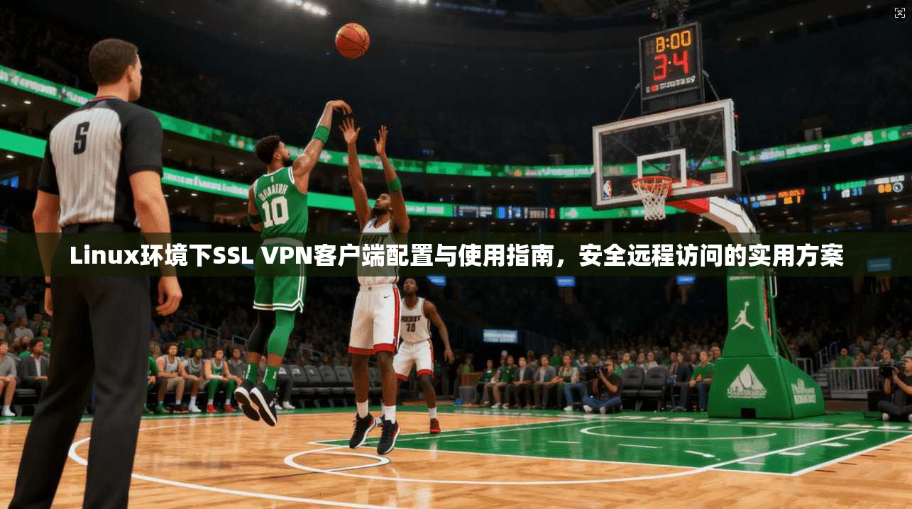 Linux环境下SSL VPN客户端配置与使用指南，安全远程访问的实用方案  第1张