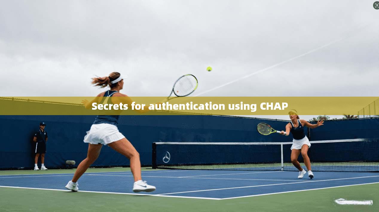 Secrets for authentication using CHAP  第1张