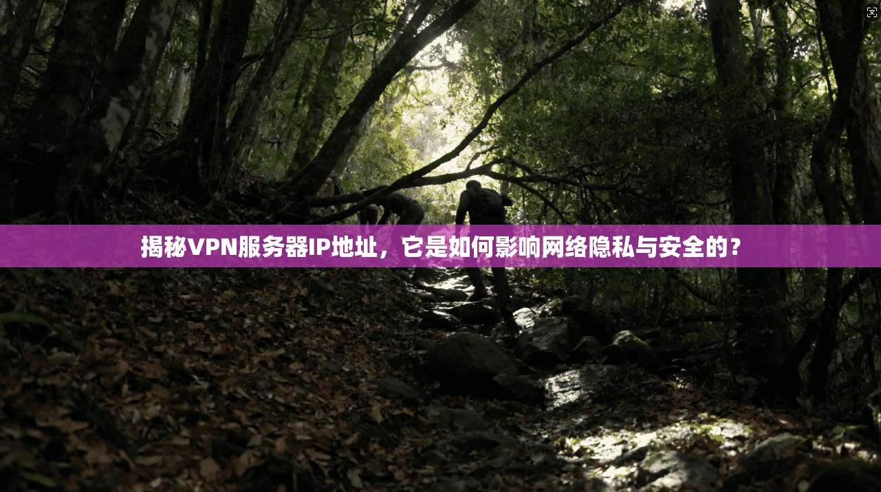 揭秘VPN服务器IP地址,它是如何影响网络隐私与安全的? 第1张 揭秘VPN服务器IP地址,它是如何影响网络隐私与安全的? 第1张