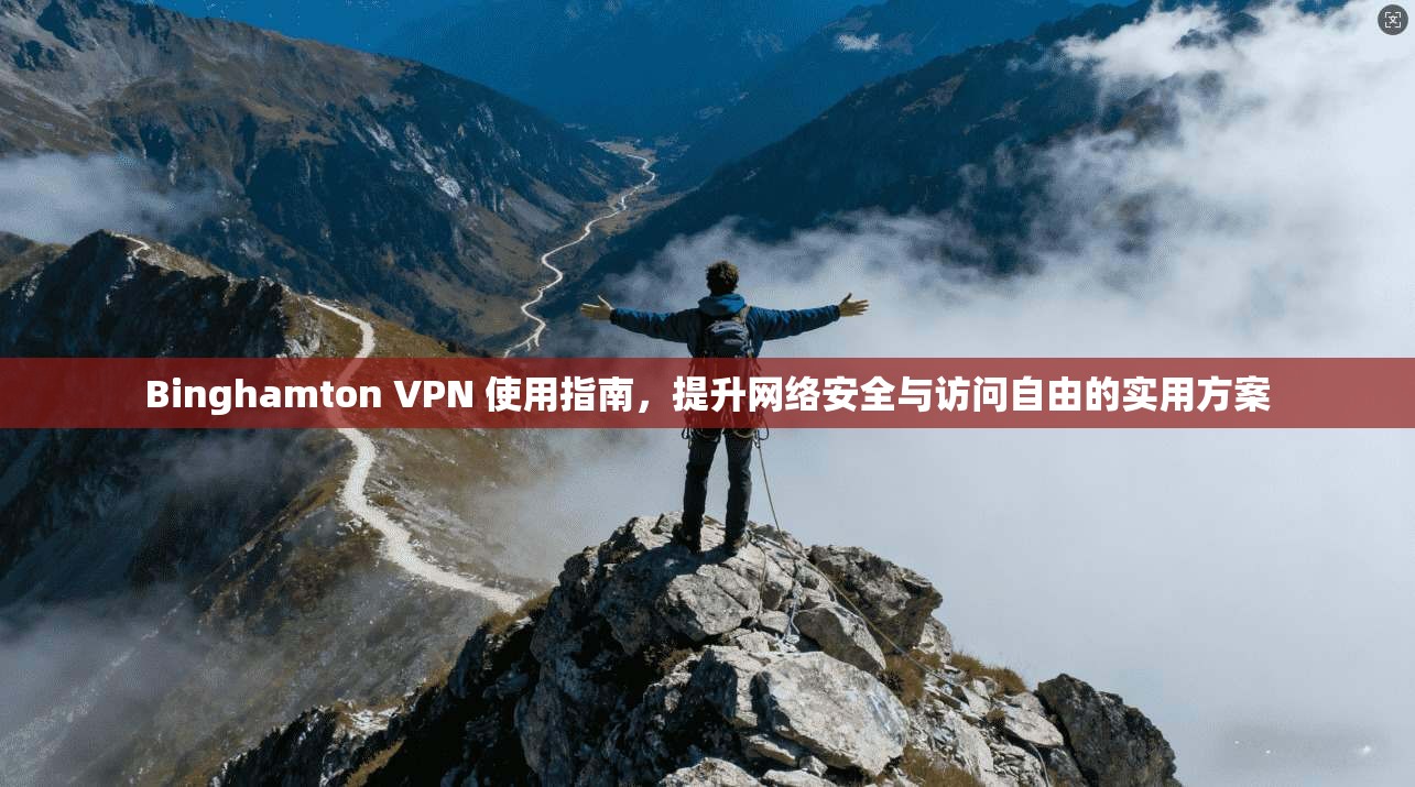 Binghamton VPN 使用指南,提升网络安全与访问自由的实用方案 第1张 Binghamton VPN 使用指南,提升网络安全与访问自由的实用方案 第1张