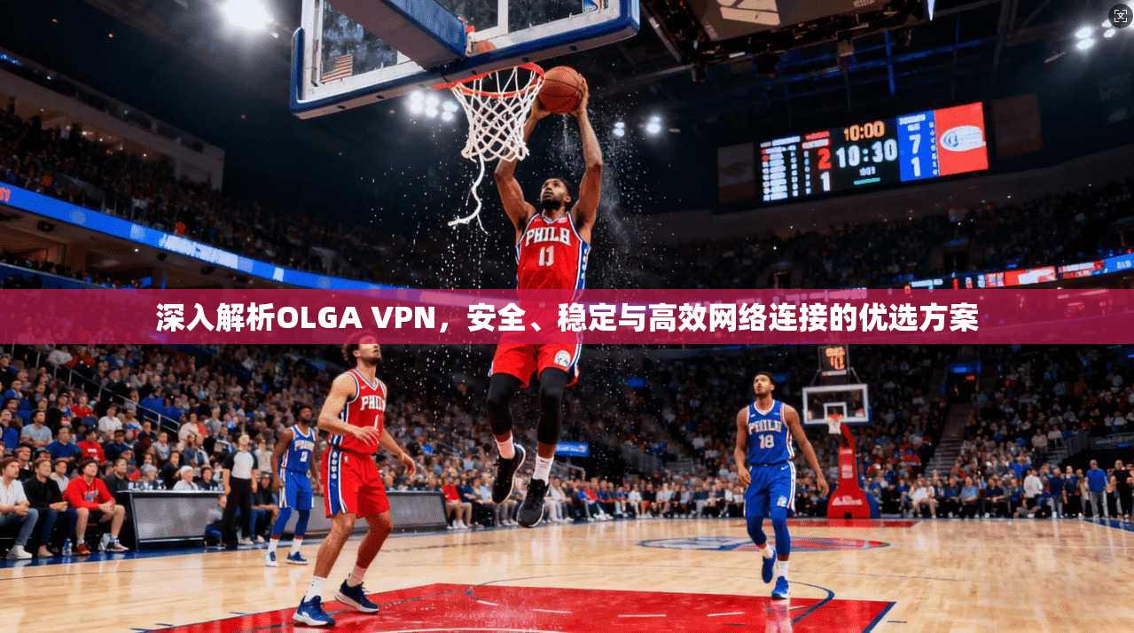 深入解析OLGA VPN，安全、稳定与高效网络连接的优选方案  第1张
