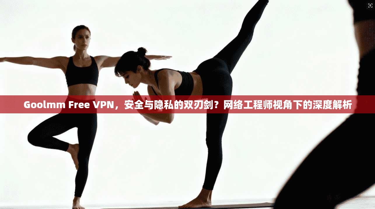 Goolmm Free VPN,安全与隐私的双刃剑?网络工程师视角下的深度解析 第1张 Goolmm Free VPN,安全与隐私的双刃剑?网络工程师视角下的深度解析 第1张