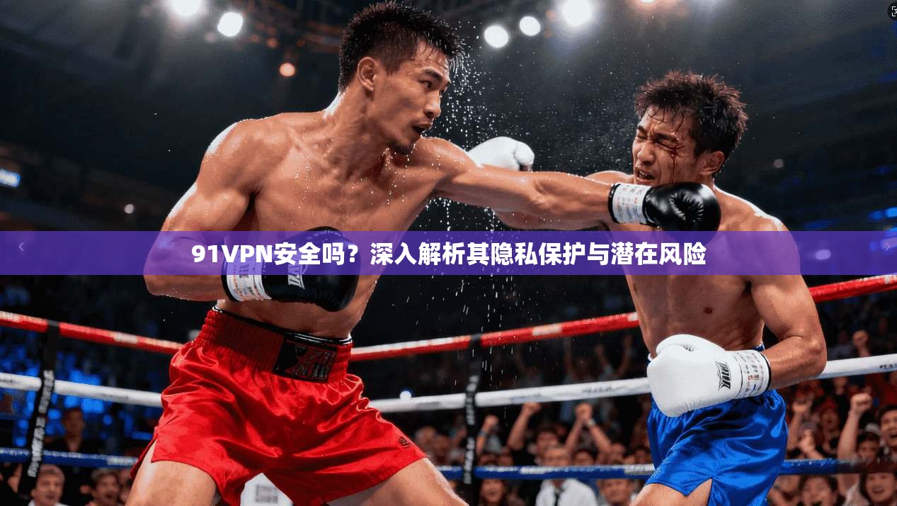 91VPN安全吗?深入解析其隐私保护与潜在风险 第1张 91VPN安全吗?深入解析其隐私保护与潜在风险 第1张