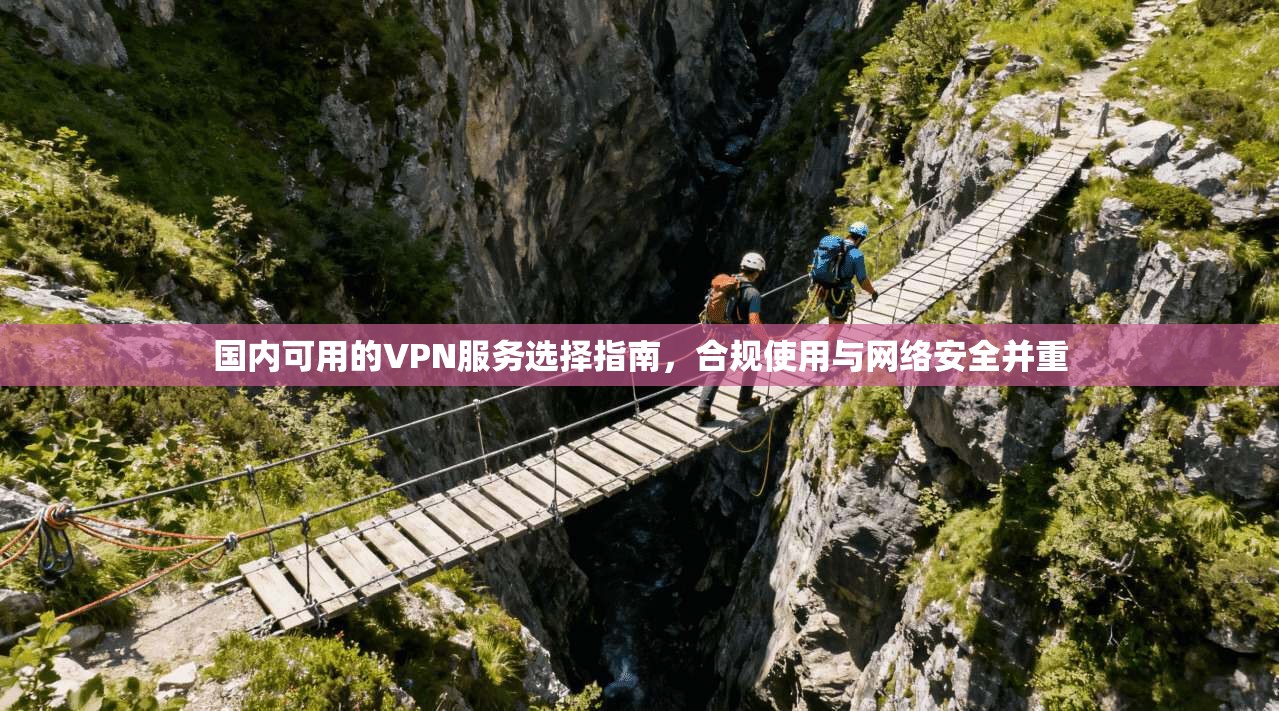 国内可用的VPN服务选择指南，合规使用与网络安全并重  第1张