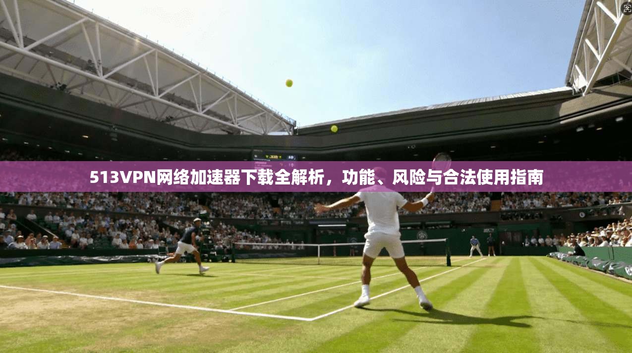 513VPN网络加速器下载全解析，功能、风险与合法使用指南  第1张