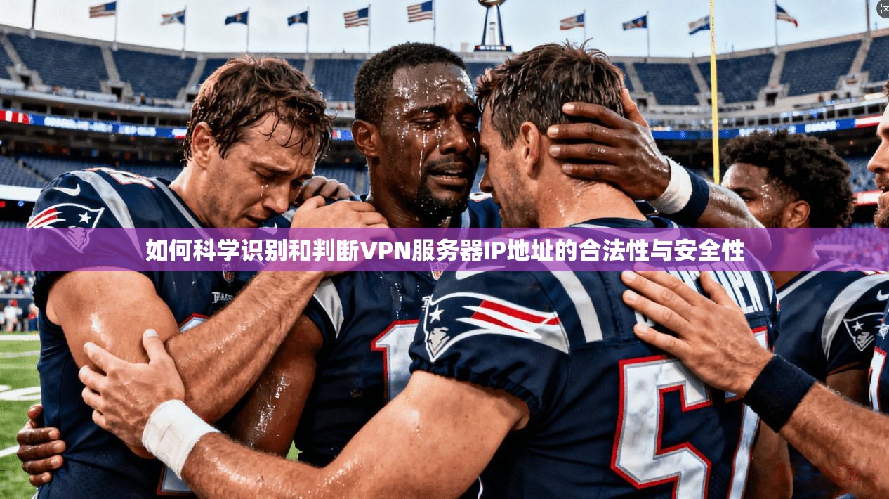如何科学识别和判断VPN服务器IP地址的合法性与安全性  第1张