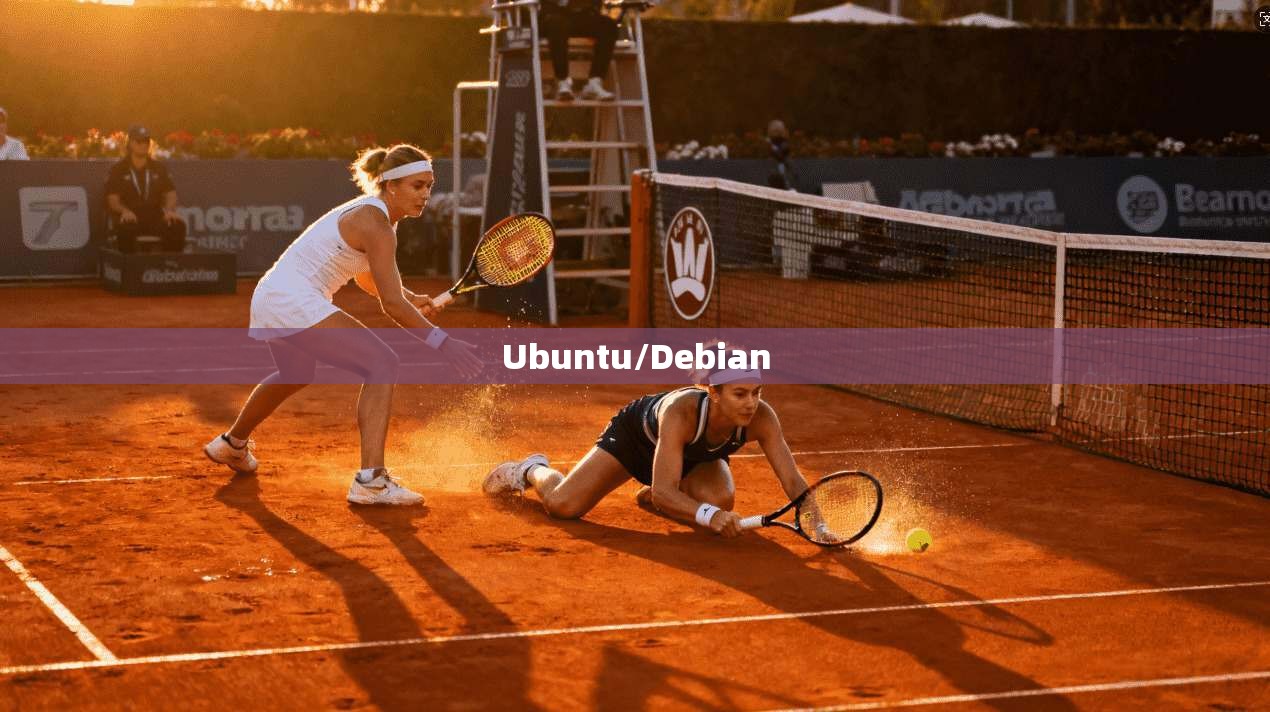 Ubuntu/Debian  第1张