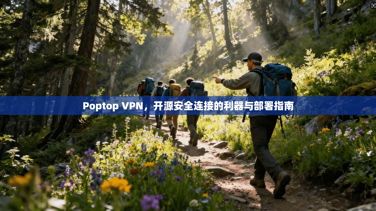 Poptop VPN，开源安全连接的利器与部署指南  第1张