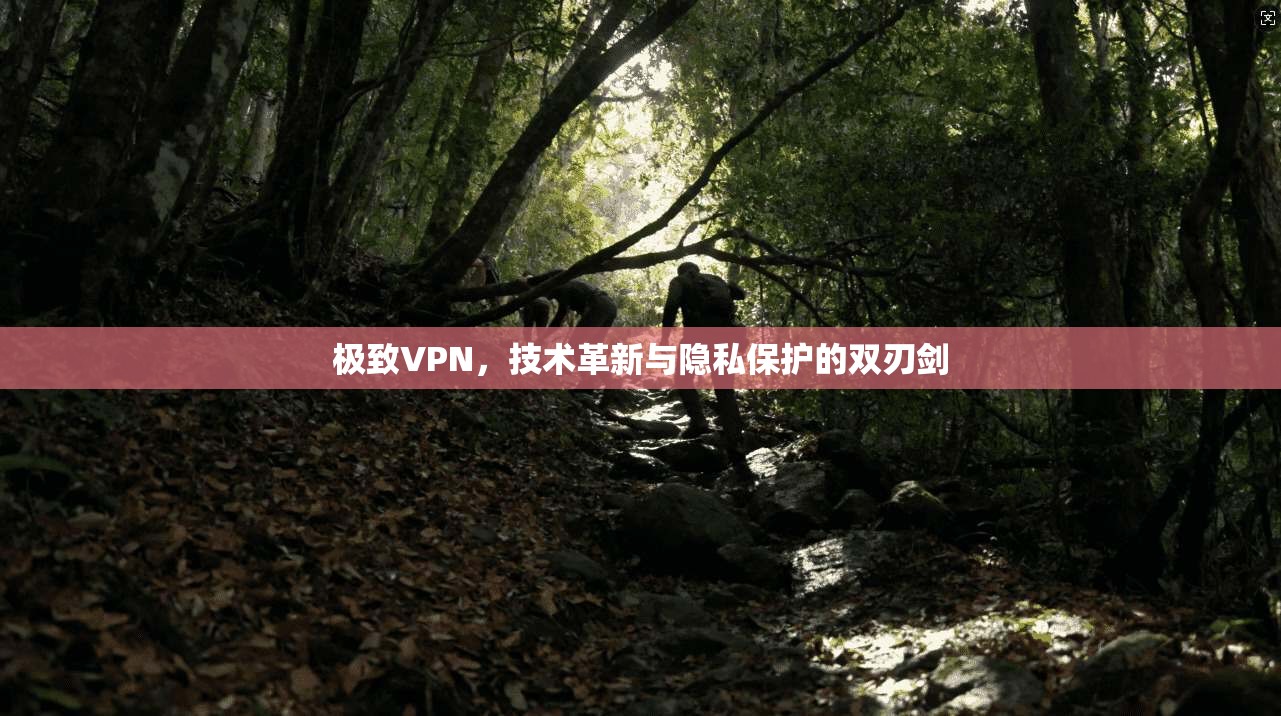 极致VPN，技术革新与隐私保护的双刃剑  第1张