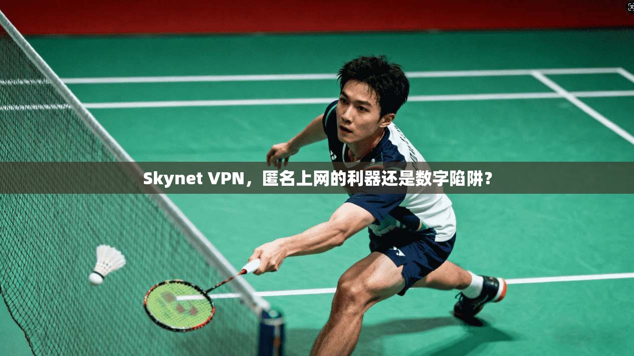 Skynet VPN，匿名上网的利器还是数字陷阱？  第1张