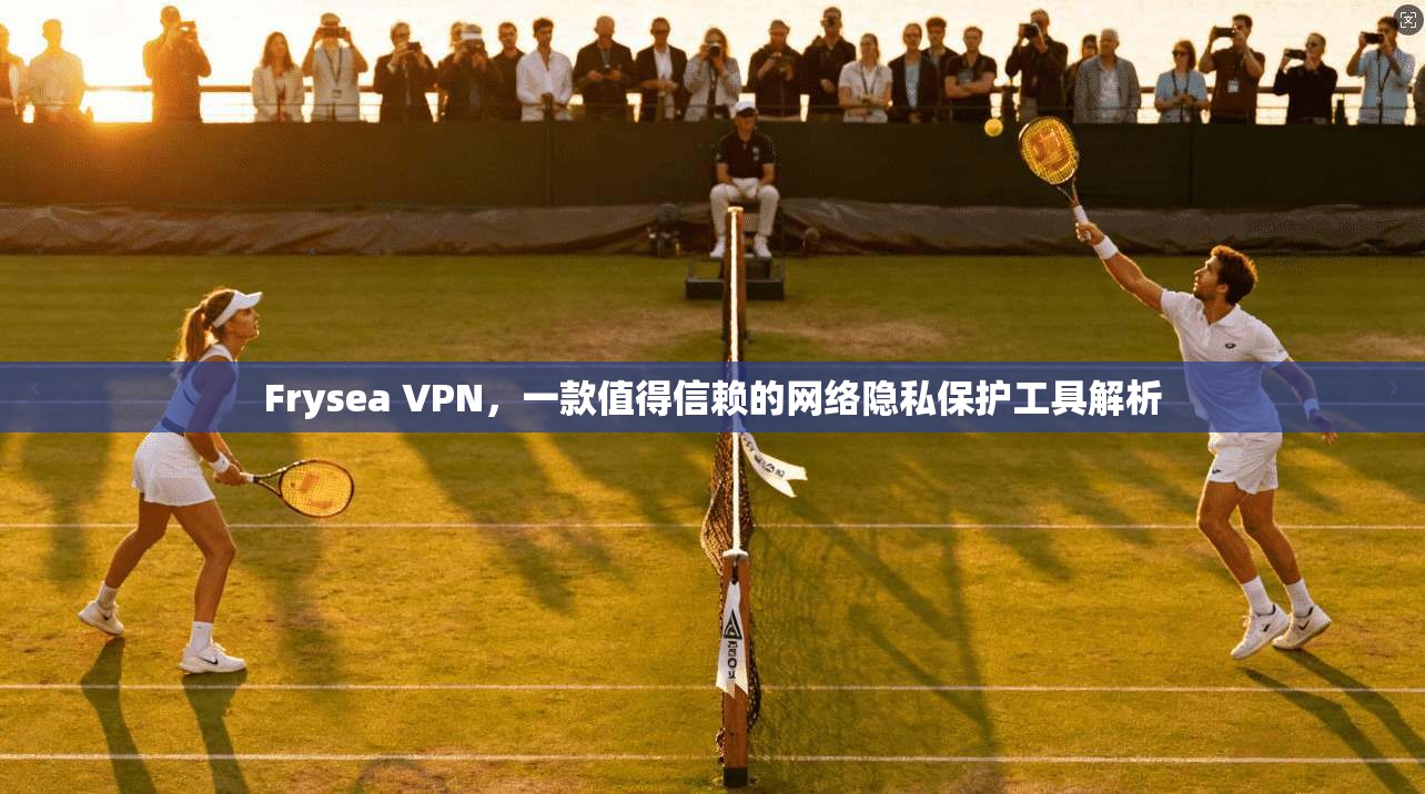 Frysea VPN，一款值得信赖的网络隐私保护工具解析  第1张