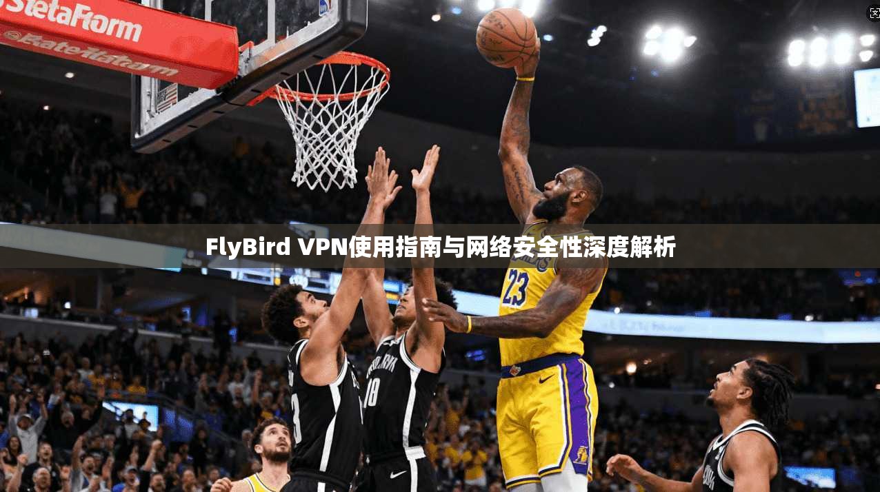 FlyBird VPN使用指南与网络安全性深度解析  第1张