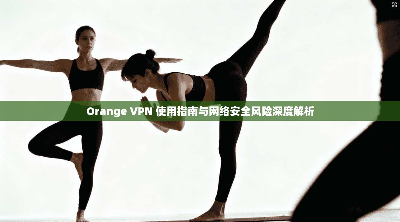 Orange VPN 使用指南与网络安全风险深度解析  第1张