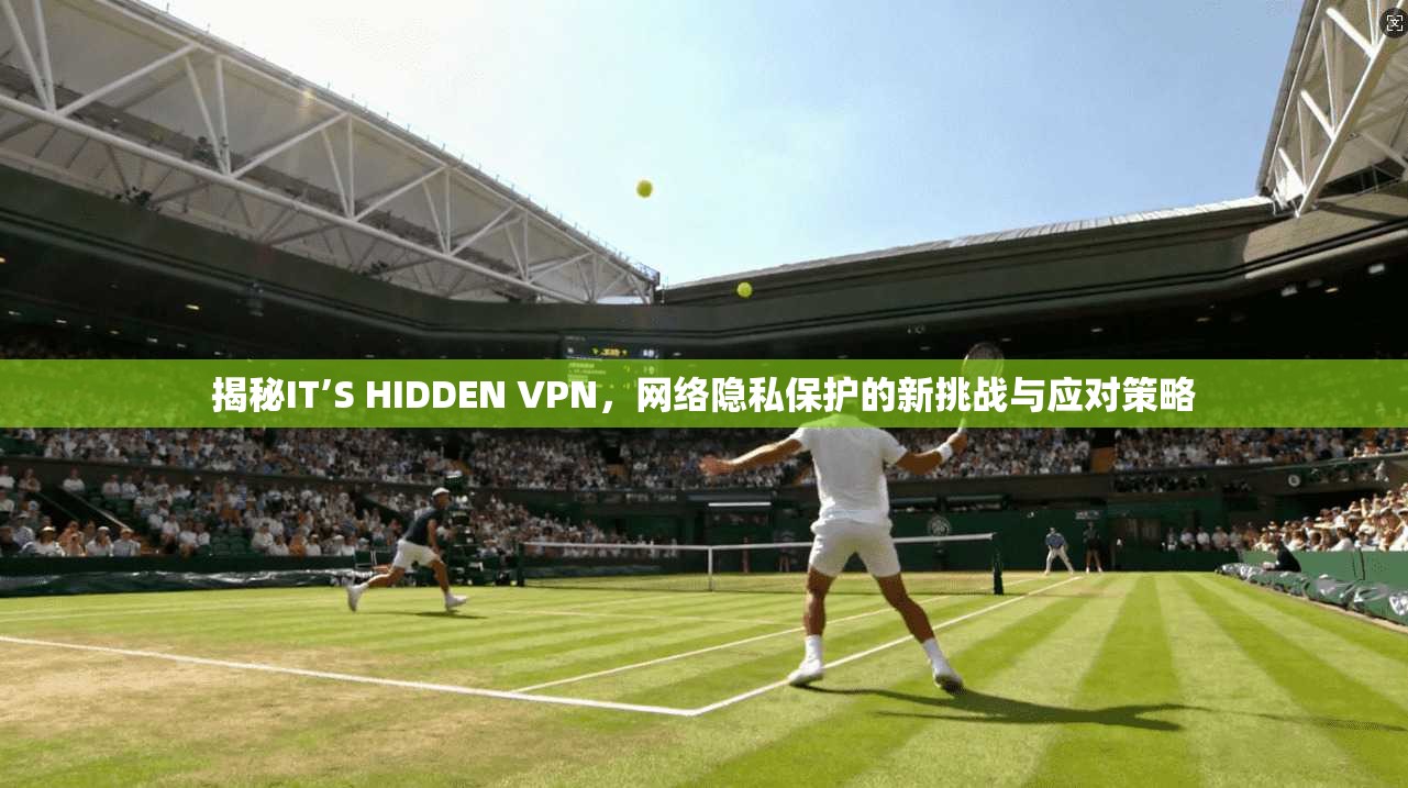 揭秘IT’S HIDDEN VPN，网络隐私保护的新挑战与应对策略  第1张