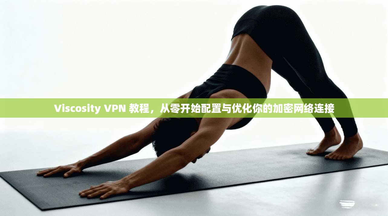 Viscosity VPN 教程，从零开始配置与优化你的加密网络连接  第1张