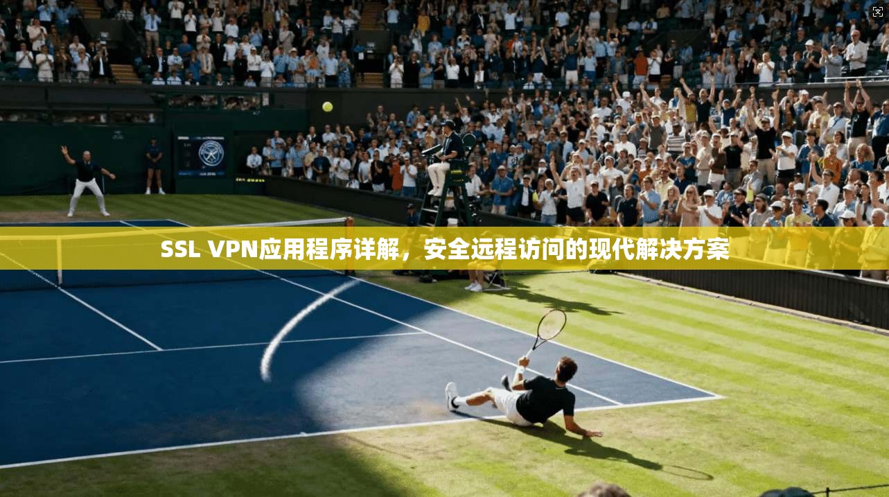 SSL VPN应用程序详解，安全远程访问的现代解决方案  第1张