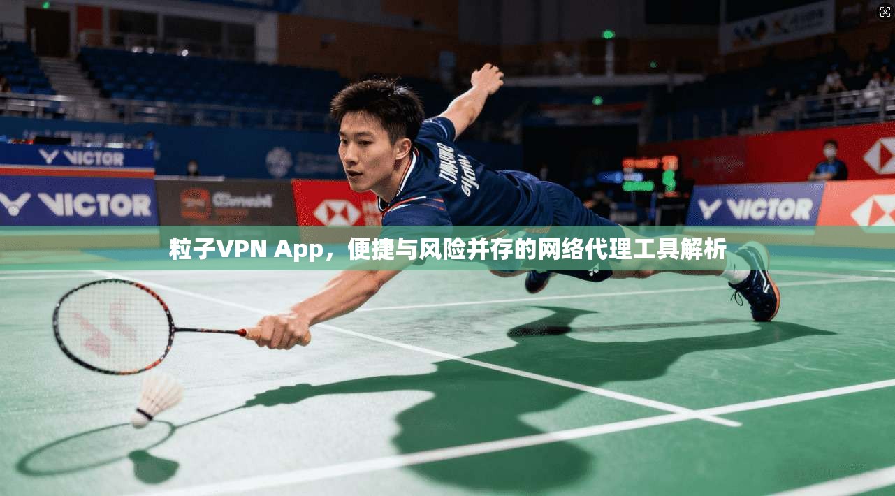 粒子VPN App，便捷与风险并存的网络代理工具解析  第1张