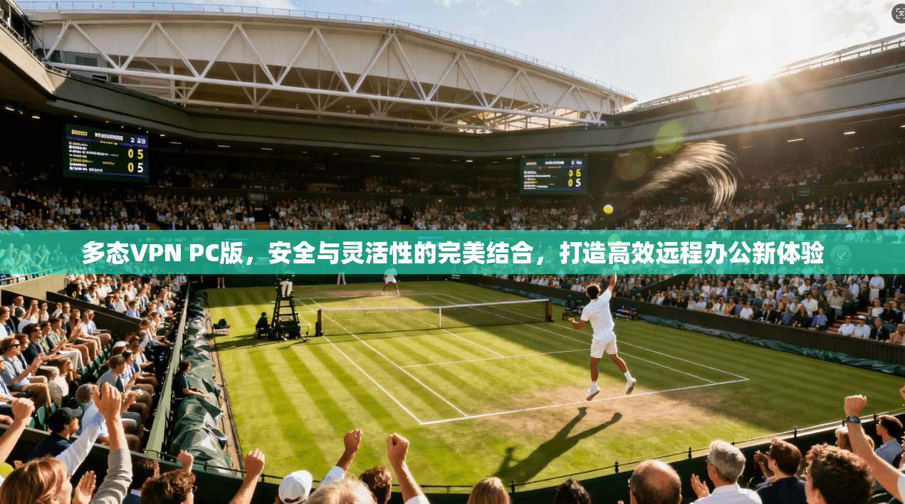 多态VPN PC版，安全与灵活性的完美结合，打造高效远程办公新体验  第1张