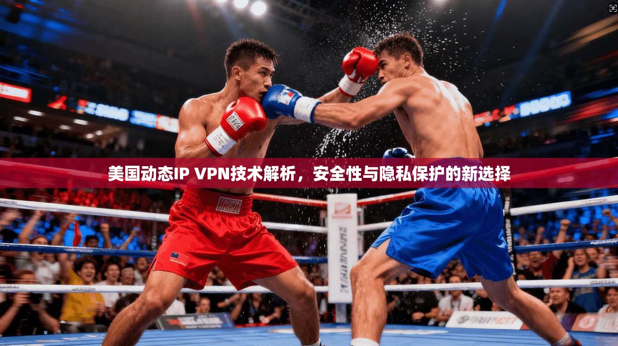 美国动态IP VPN技术解析，安全性与隐私保护的新选择  第1张