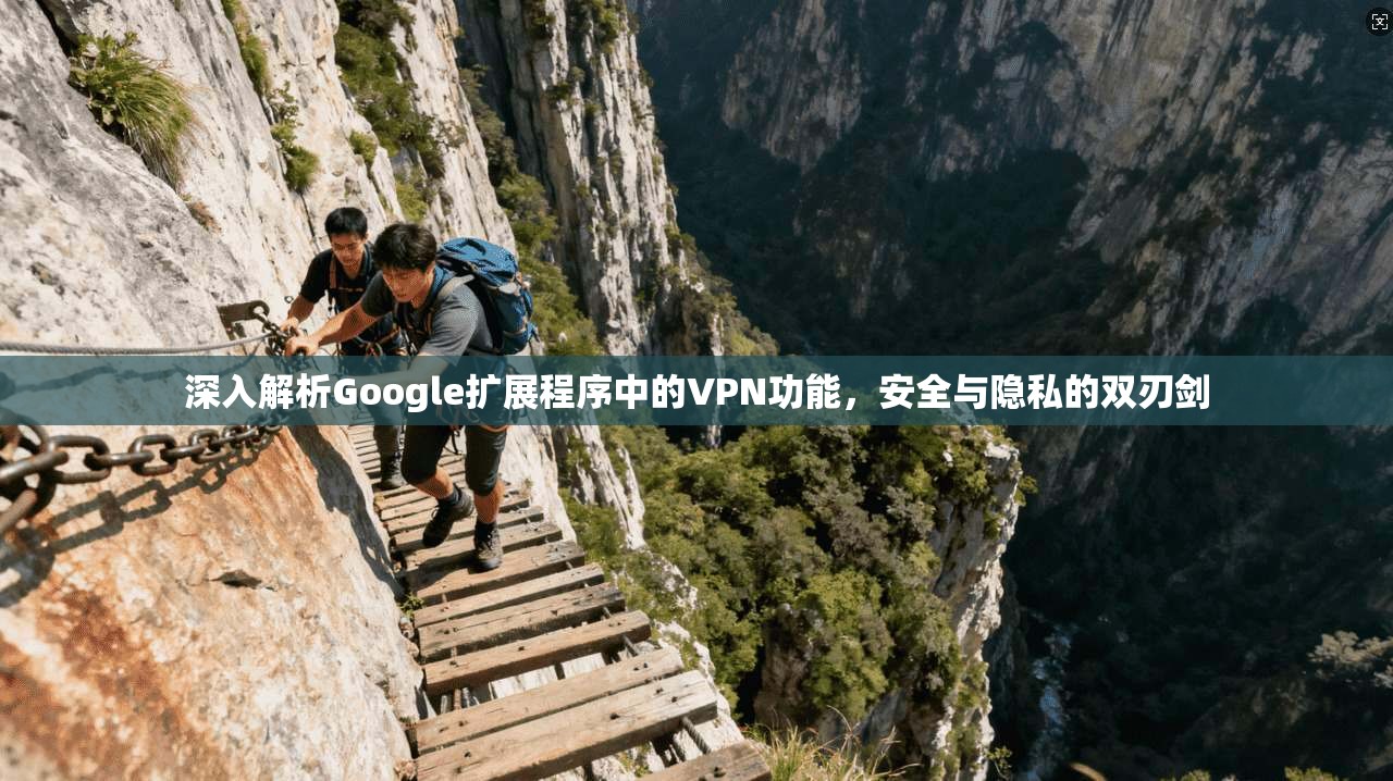 深入解析Google扩展程序中的VPN功能，安全与隐私的双刃剑  第1张