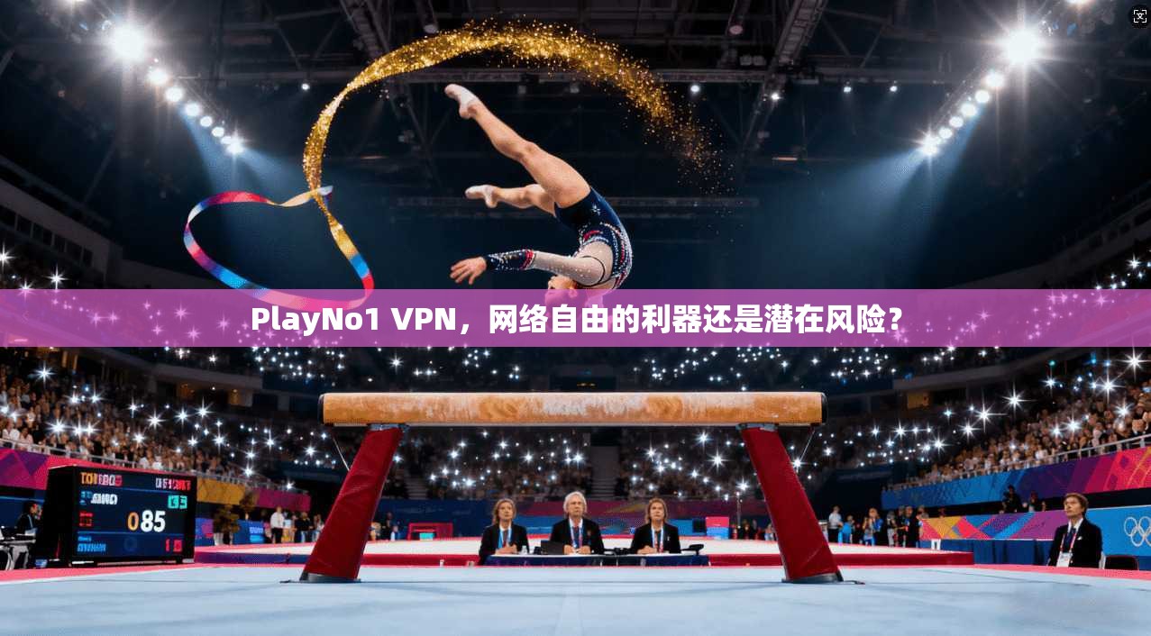 PlayNo1 VPN，网络自由的利器还是潜在风险？  第1张