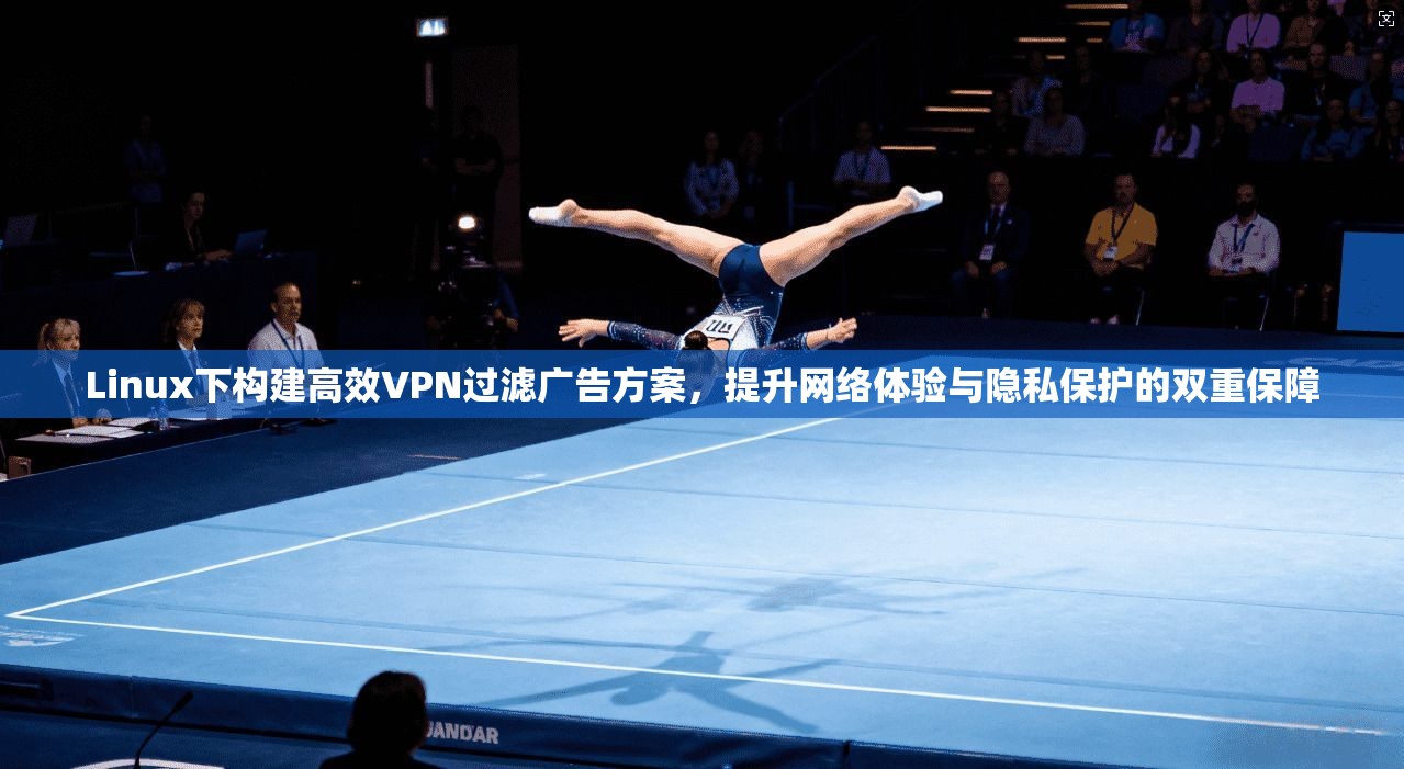 Linux下构建高效VPN过滤广告方案，提升网络体验与隐私保护的双重保障  第1张