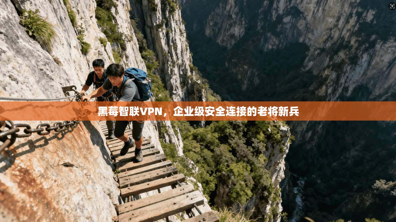 黑莓智联VPN，企业级安全连接的老将新兵  第1张