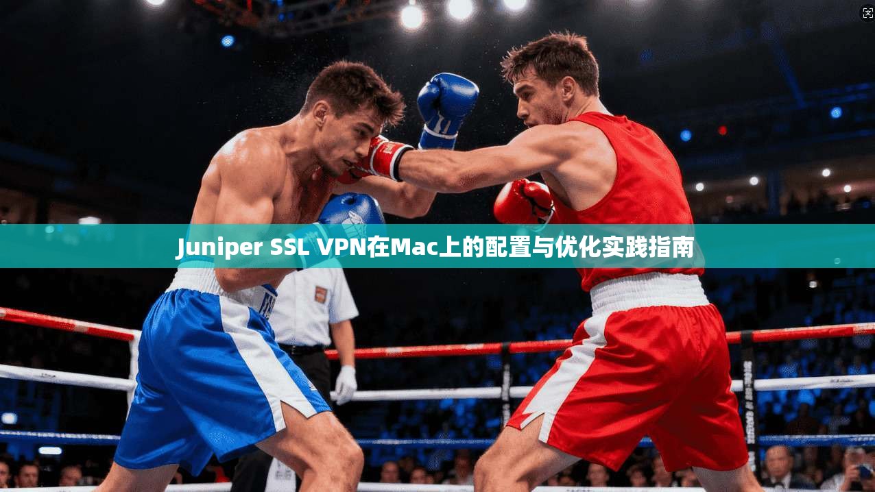Juniper SSL VPN在Mac上的配置与优化实践指南  第1张