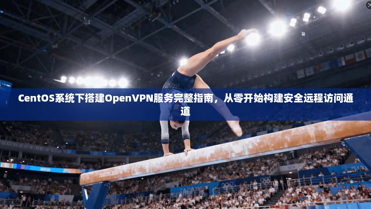 CentOS系统下搭建OpenVPN服务完整指南，从零开始构建安全远程访问通道  第1张