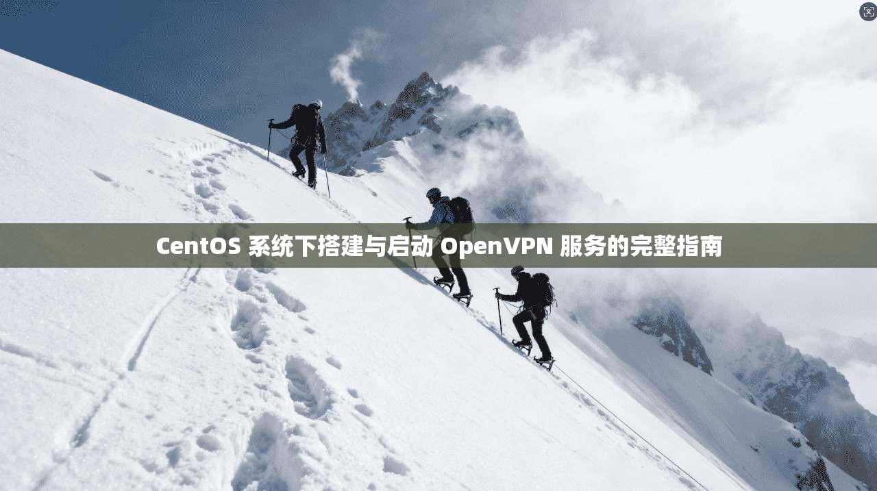 CentOS 系统下搭建与启动 OpenVPN 服务的完整指南  第1张
