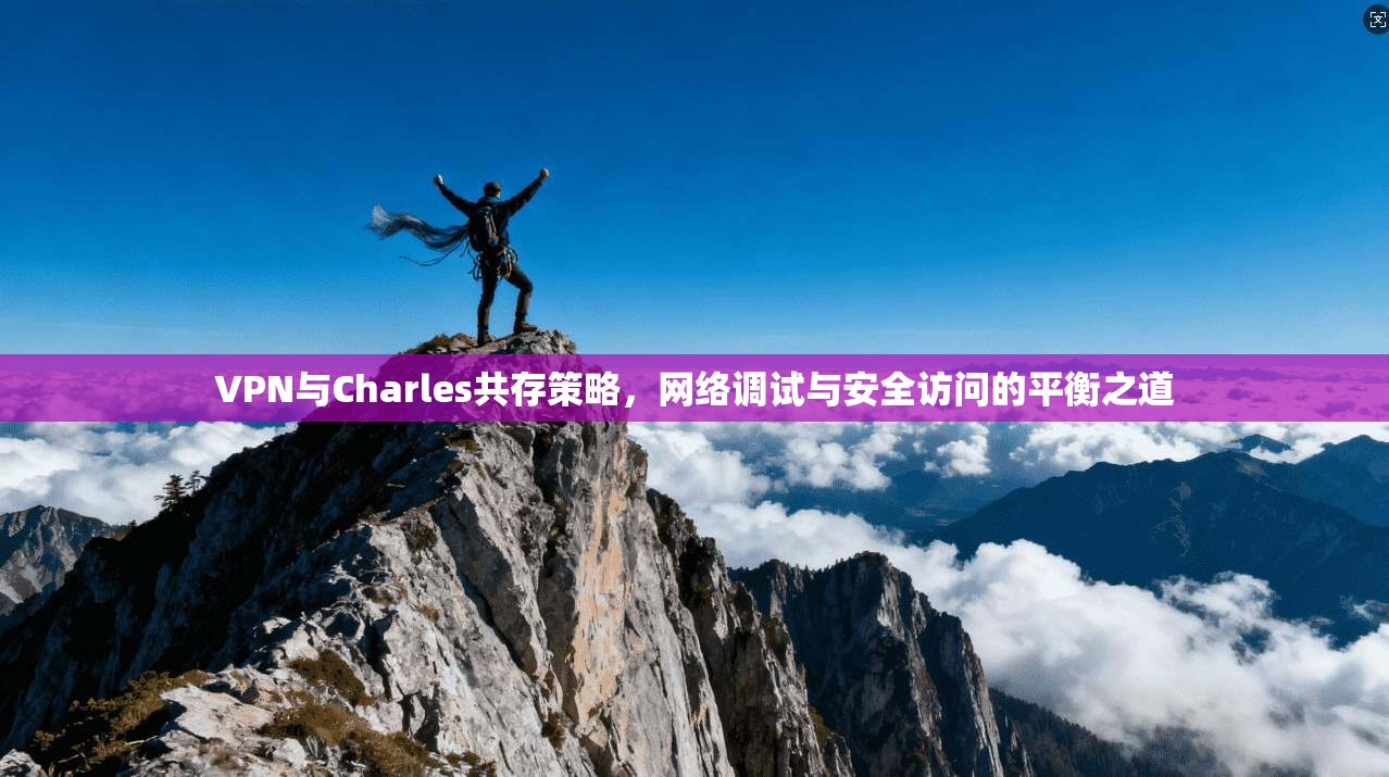 VPN与Charles共存策略，网络调试与安全访问的平衡之道  第1张