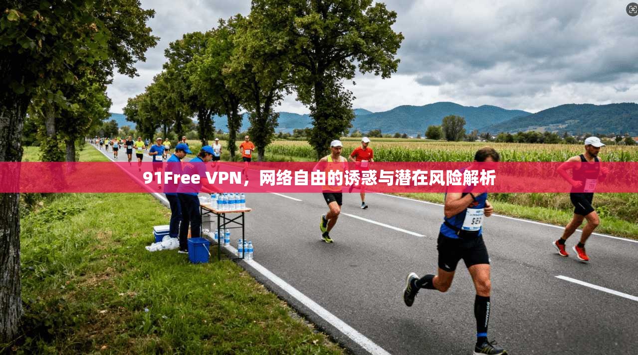 91Free VPN，网络自由的诱惑与潜在风险解析  第1张