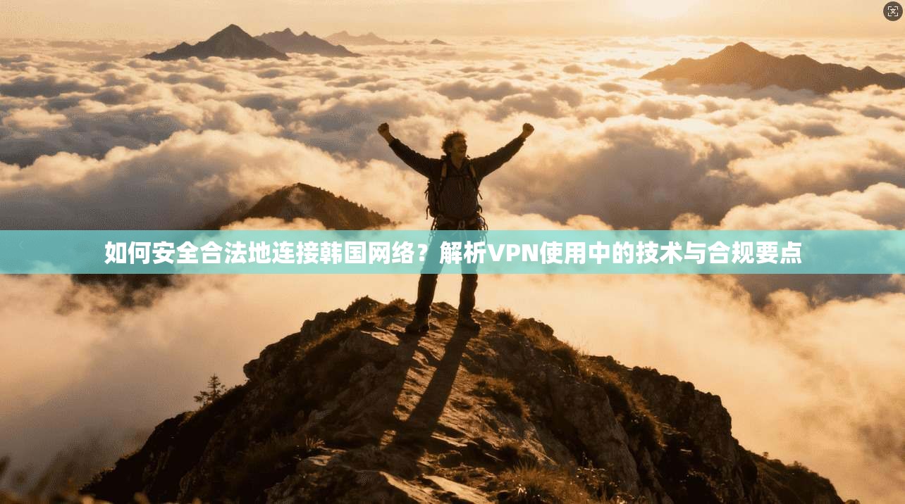如何安全合法地连接韩国网络？解析VPN使用中的技术与合规要点  第1张