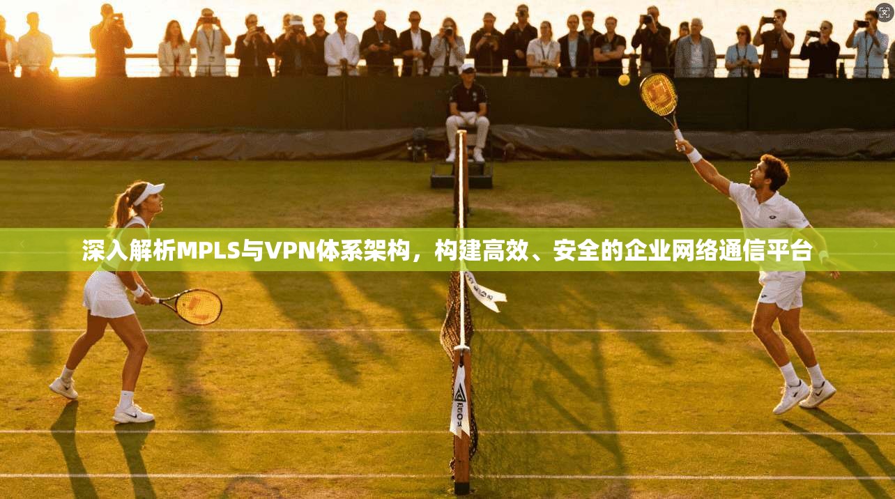 深入解析MPLS与VPN体系架构，构建高效、安全的企业网络通信平台  第1张