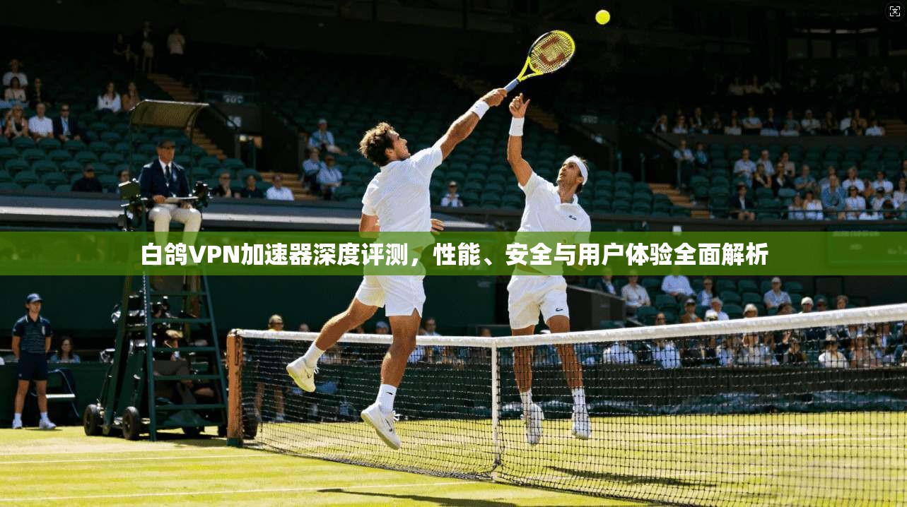 白鸽VPN加速器深度评测，性能、安全与用户体验全面解析  第1张