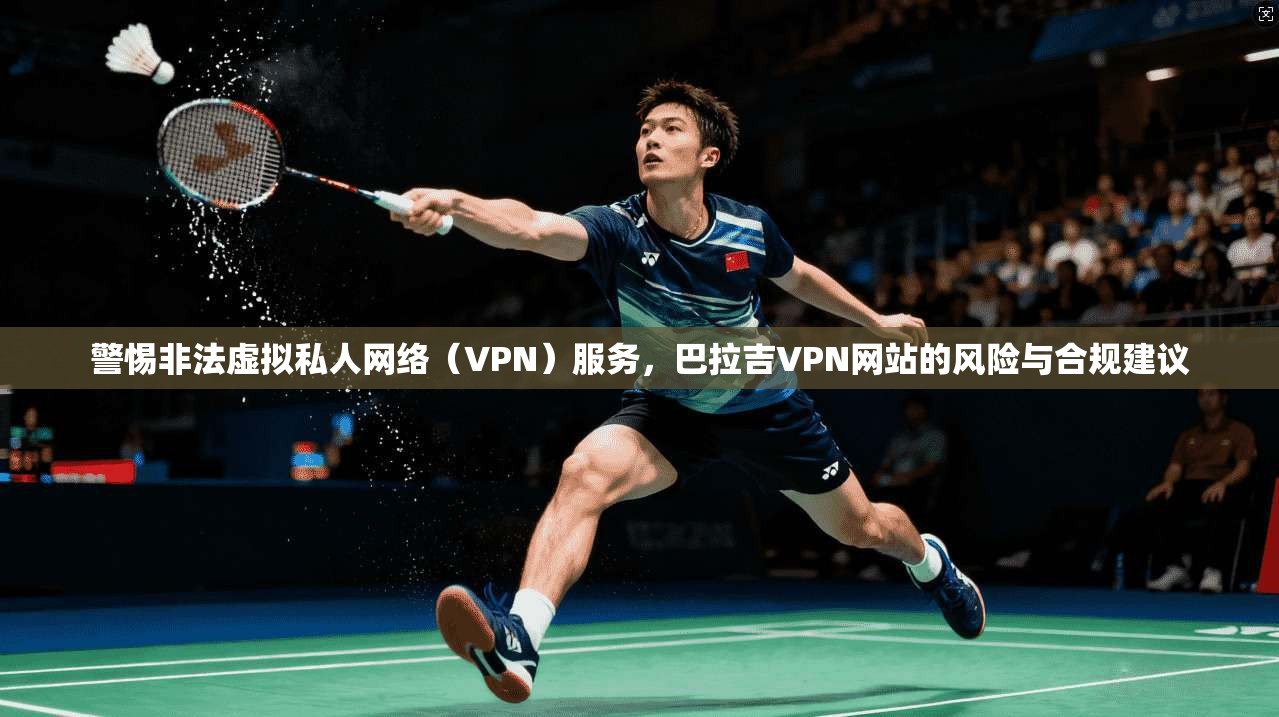 警惕非法虚拟私人网络（VPN）服务，巴拉吉VPN网站的风险与合规建议  第1张