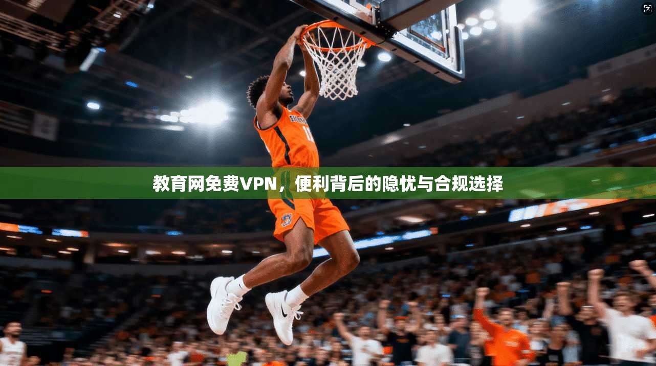 教育网免费VPN，便利背后的隐忧与合规选择  第1张