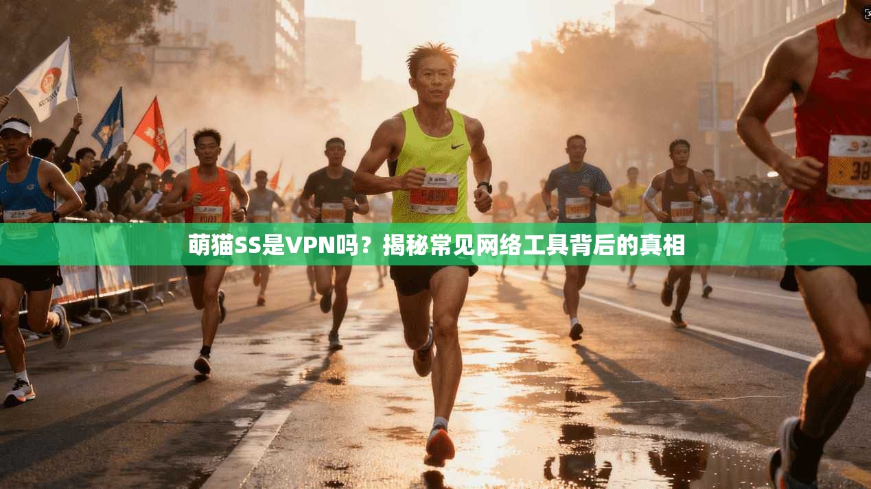 萌猫SS是VPN吗？揭秘常见网络工具背后的真相  第1张