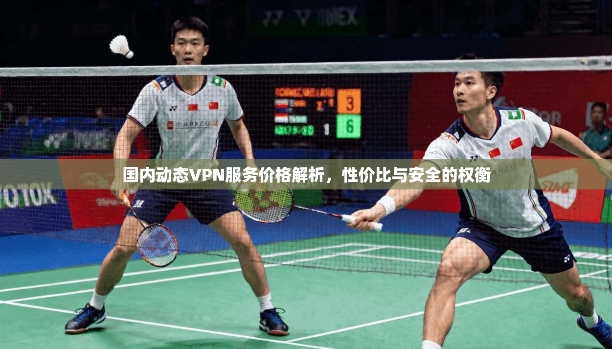 国内动态VPN服务价格解析，性价比与安全的权衡  第1张