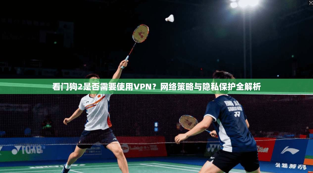 看门狗2是否需要使用VPN？网络策略与隐私保护全解析  第1张