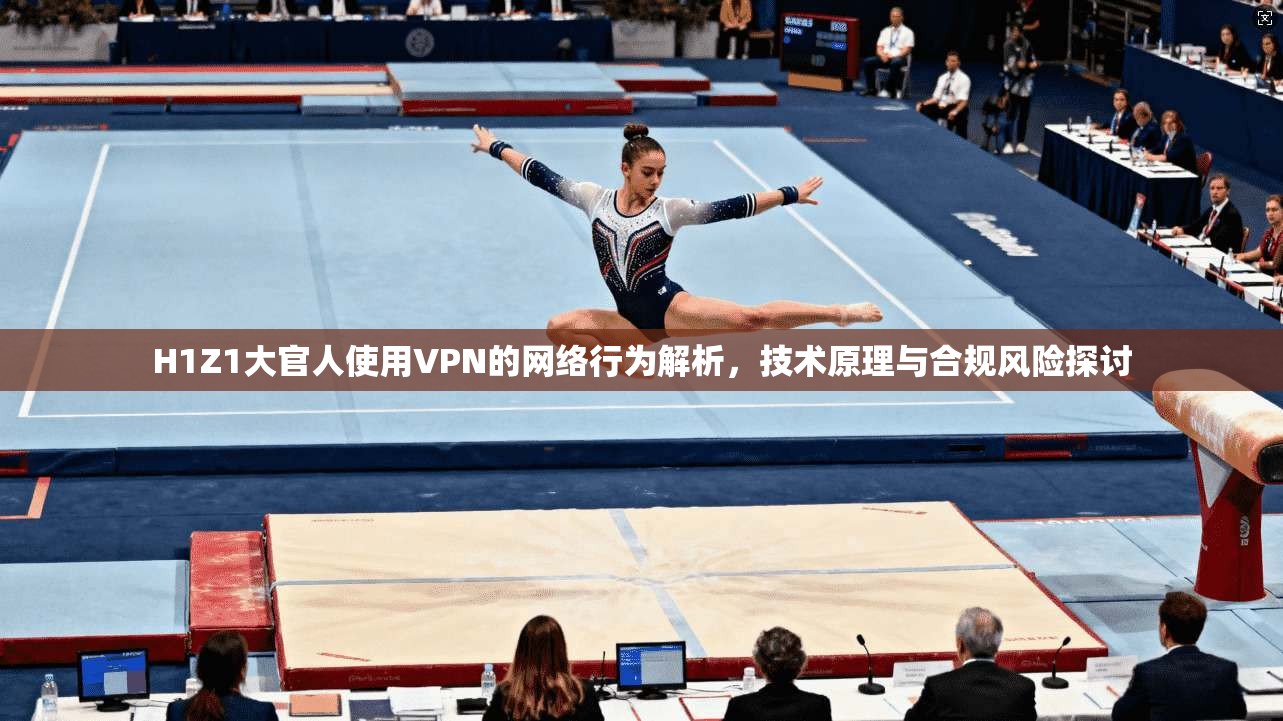 H1Z1大官人使用VPN的网络行为解析，技术原理与合规风险探讨  第1张