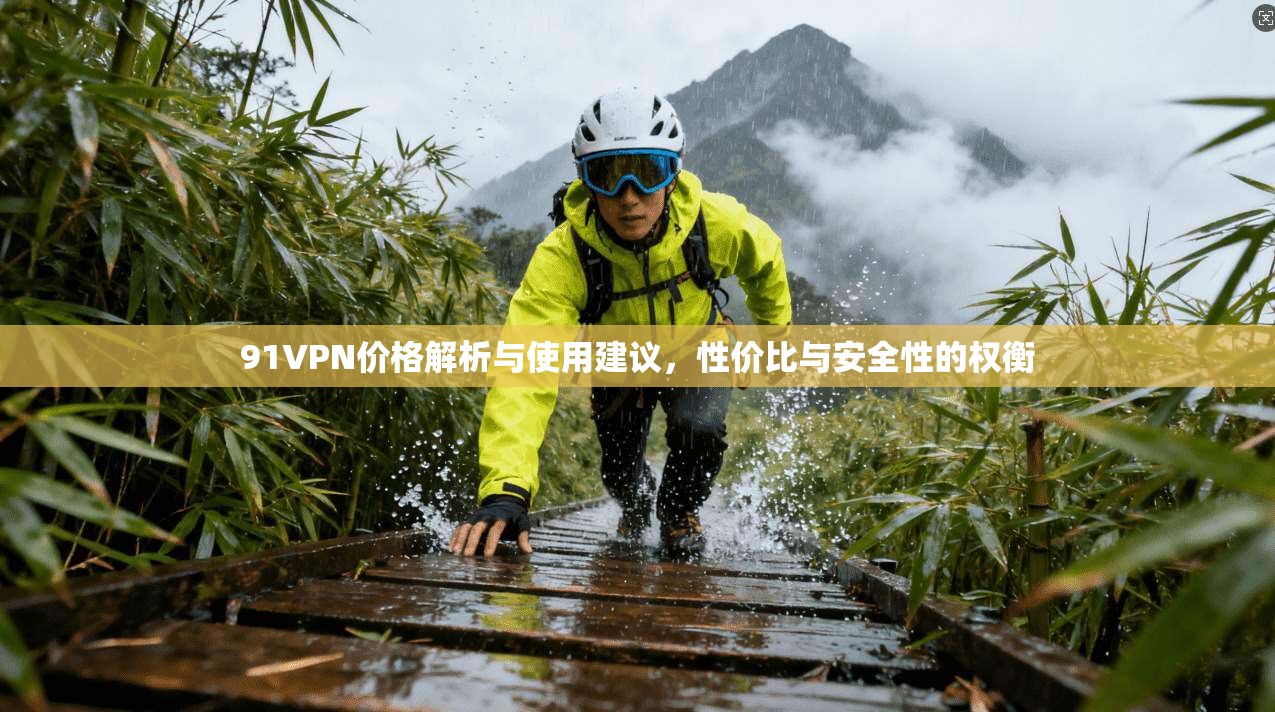 91VPN价格解析与使用建议，性价比与安全性的权衡  第1张