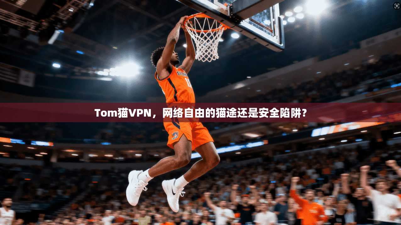 Tom猫VPN，网络自由的猫途还是安全陷阱？  第1张