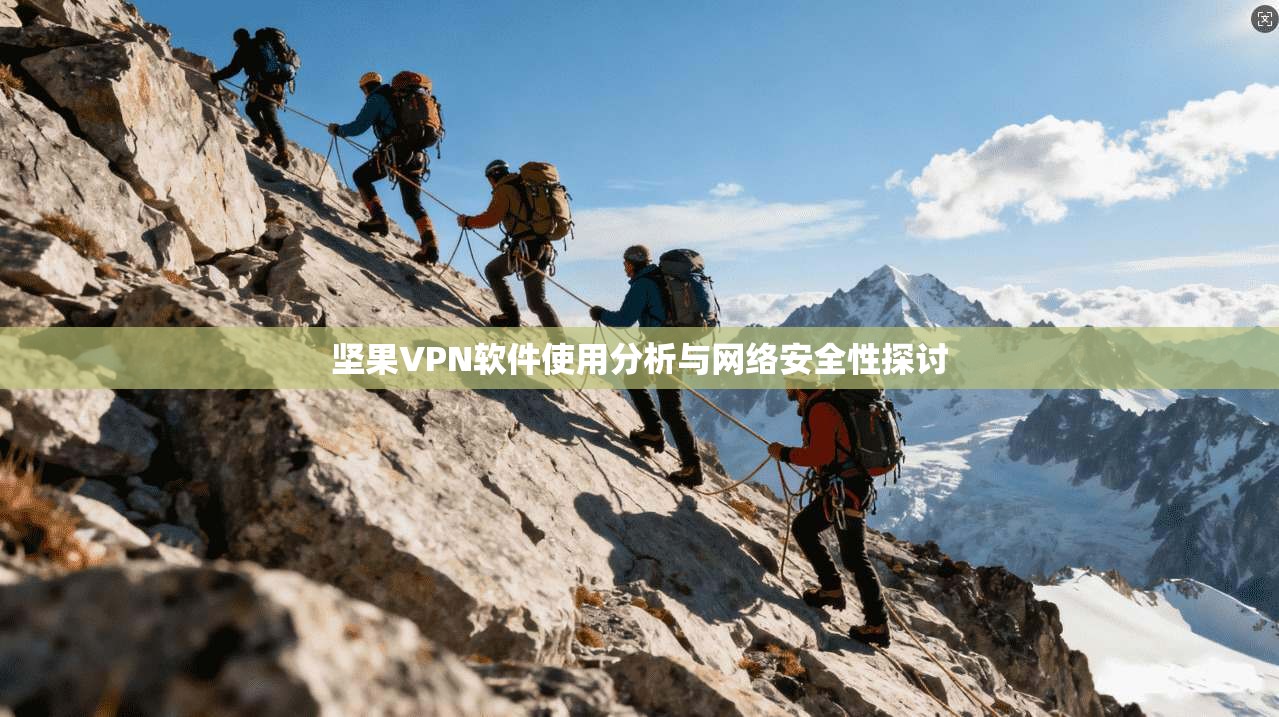 坚果VPN软件使用分析与网络安全性探讨  第1张