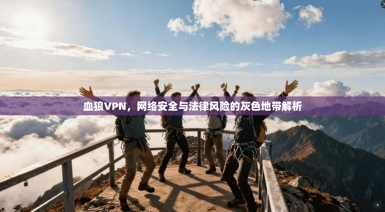 血狼VPN，网络安全与法律风险的灰色地带解析  第1张
