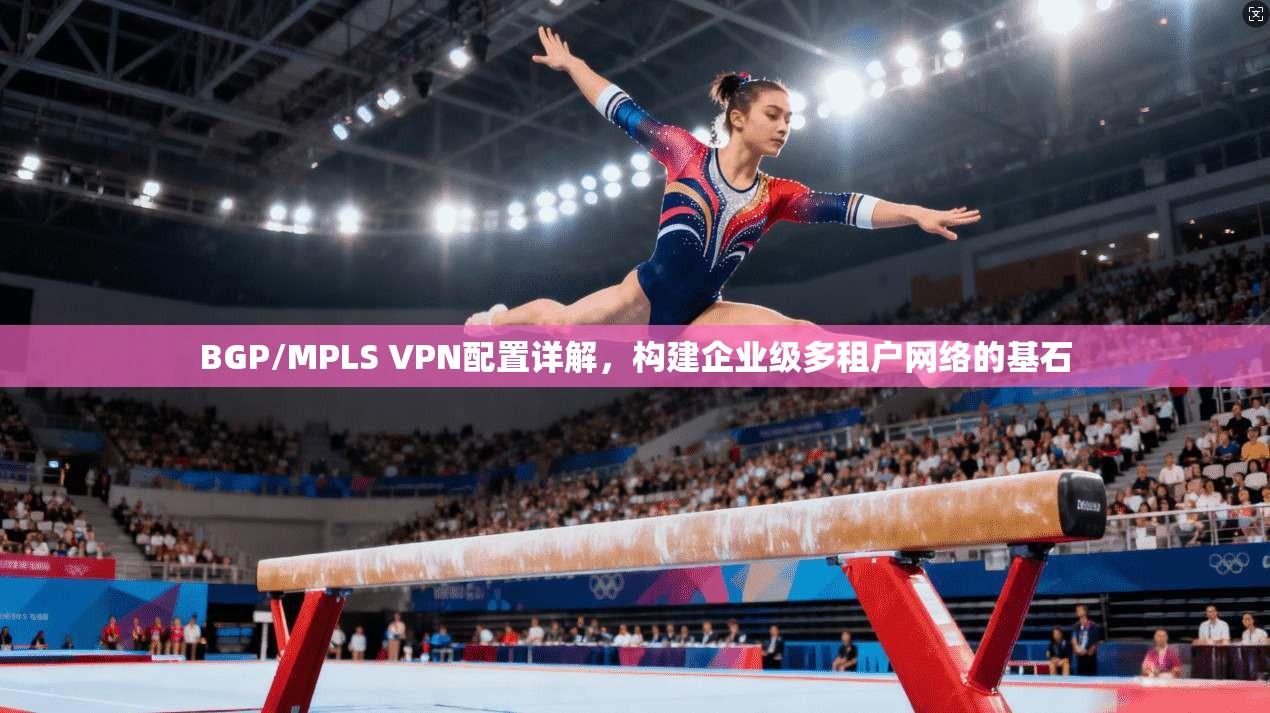 BGP/MPLS VPN配置详解，构建企业级多租户网络的基石  第1张