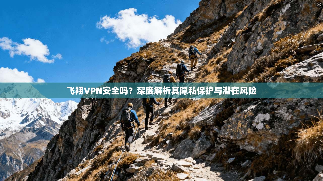 飞翔VPN安全吗？深度解析其隐私保护与潜在风险  第1张