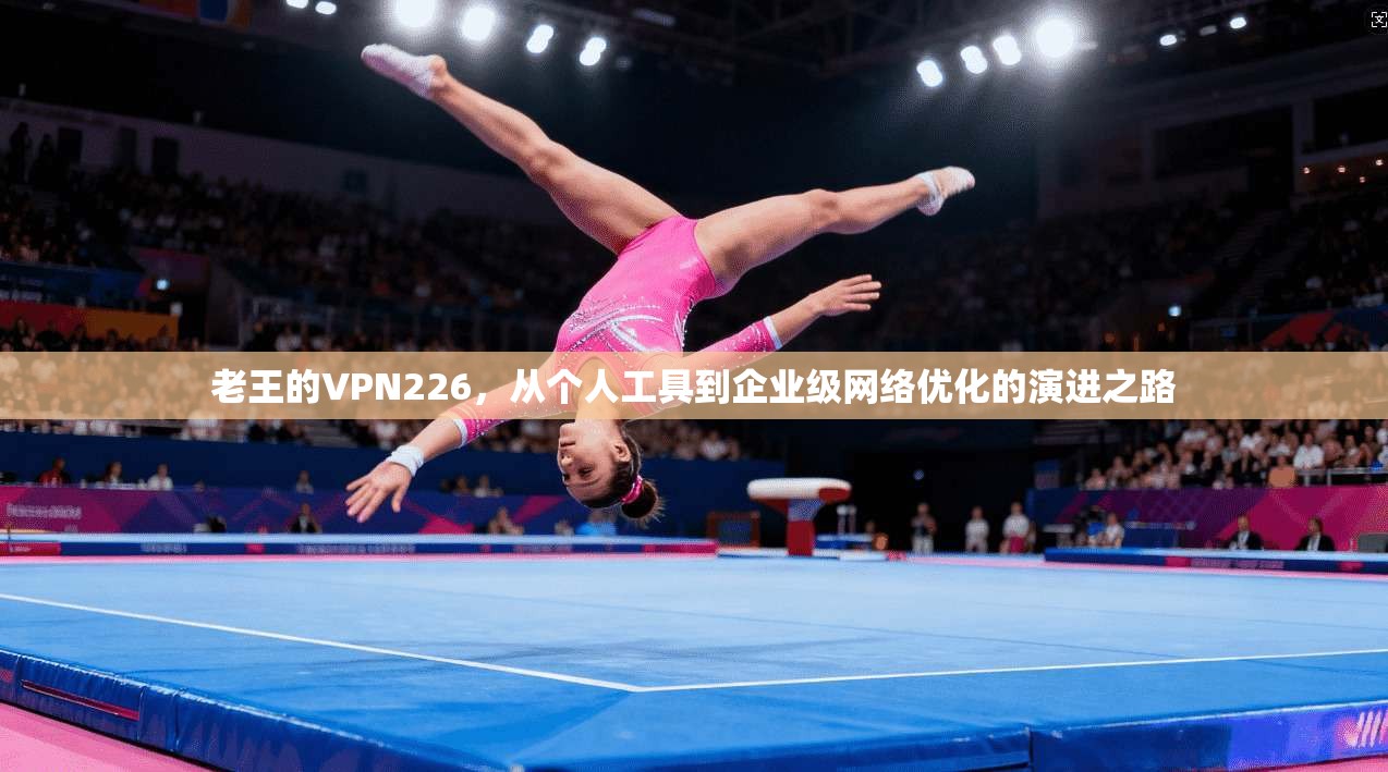 老王的VPN226，从个人工具到企业级网络优化的演进之路  第1张