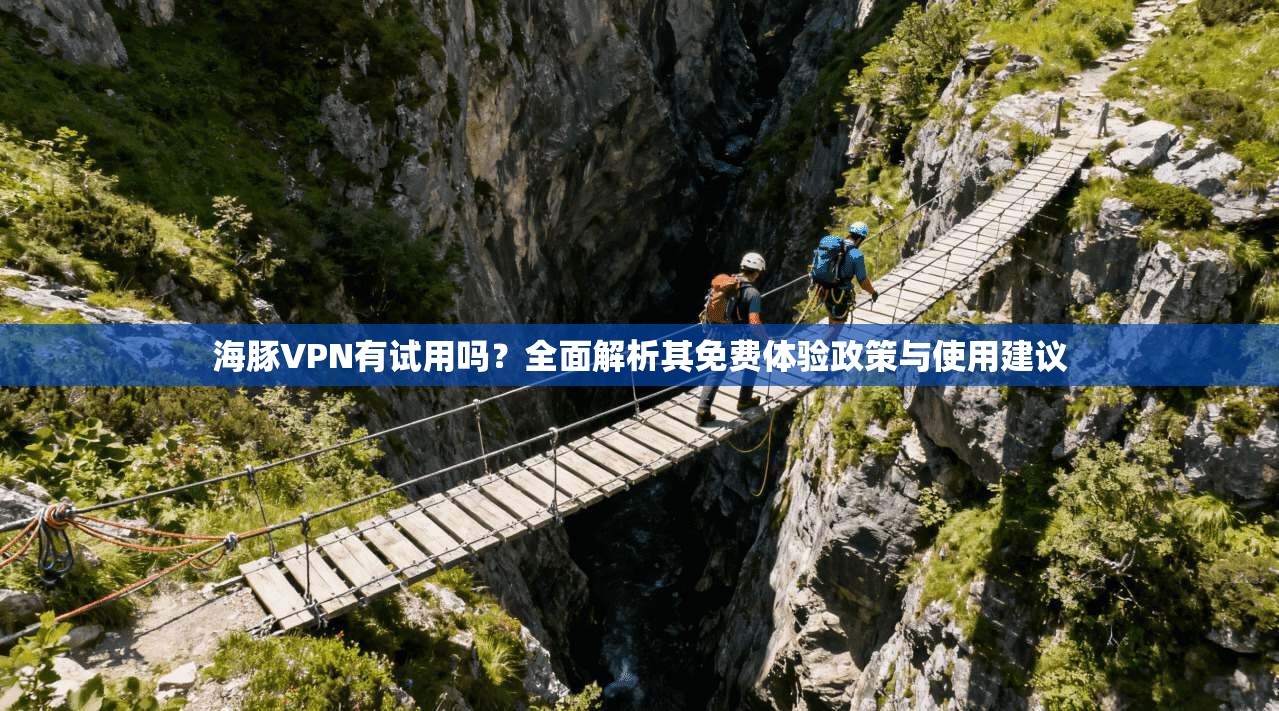 海豚VPN有试用吗？全面解析其免费体验政策与使用建议  第1张