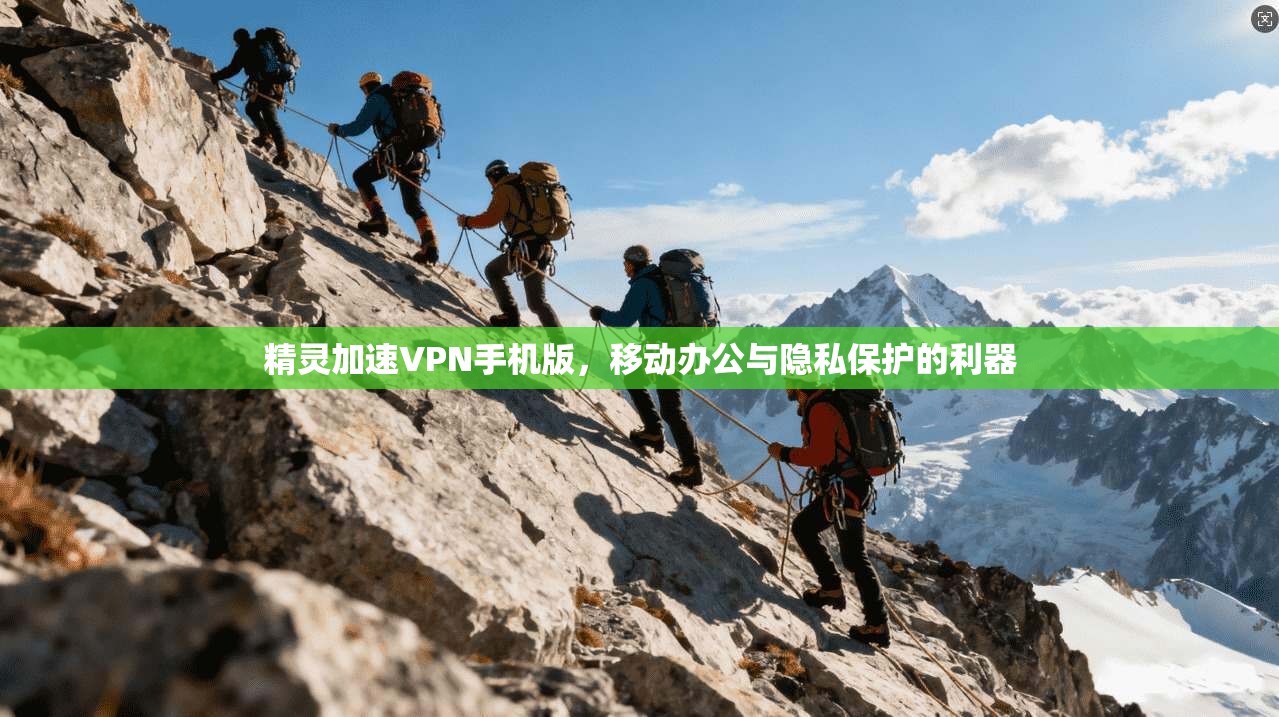 精灵加速VPN手机版，移动办公与隐私保护的利器  第1张